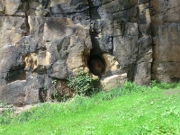 Figure 8